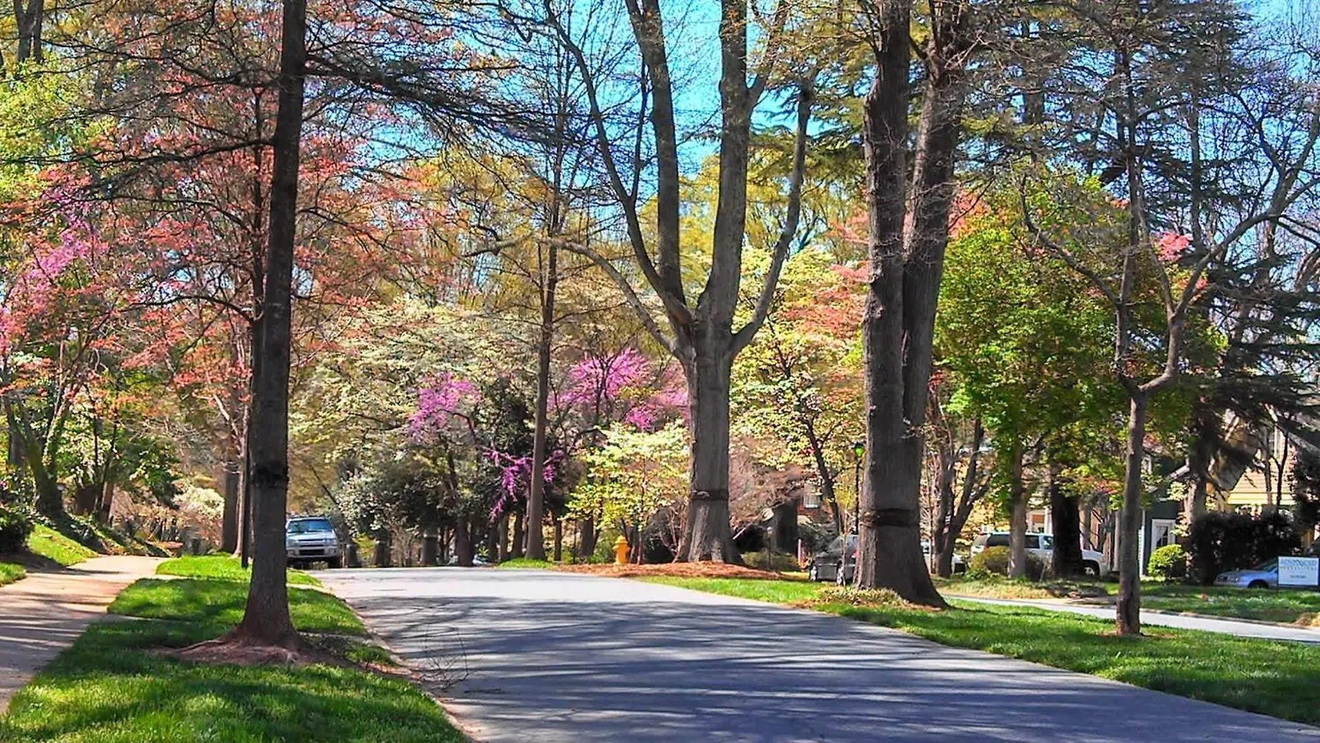 Comfortable And Stylish Condo Near Myers Park Σάρλοτ